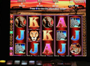 壹元娱乐官方网站免费版